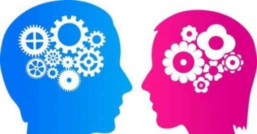 Cervello e genere Cervello e genere