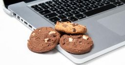 Chi usa i cookies deve informare il navigatore Chi usa i cookies deve informare il navigatore