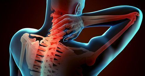 Un corso sulla prevenzione delle patologie muscolo-scheletriche Un corso sulla prevenzione delle patologie muscolo-scheletriche