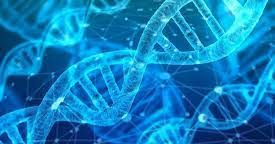 Dalla finzione cinematografica alla realtà: l’analisi rapida del DNA