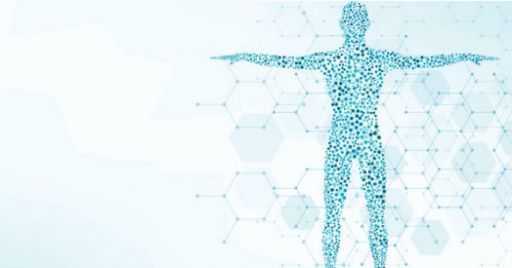 Ergonomia digitale: un progetto getta luce sullo stato della ricerca Ergonomia digitale: un progetto getta luce sullo stato della ricerca