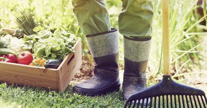 Sulla sicurezza dei prodotti fitosanitari ad uso non professionale Sulla sicurezza dei prodotti fitosanitari ad uso non professionale