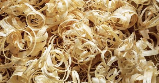Quanti sono i lavoratori potenzialmente esposti alla polvere di legno duro? Quanti sono i lavoratori potenzialmente esposti alla polvere di legno duro?