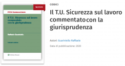 Nuovo Testo Unico Sicurezza sul lavoro commentato da Guariniello Nuovo Testo Unico Sicurezza sul lavoro commentato da Guariniello