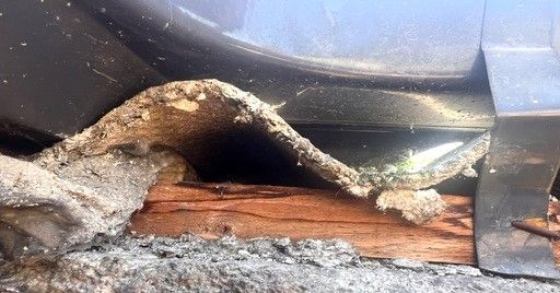 Mesoteliomi in Italia: una sfida sanitaria attuale