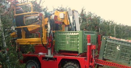 Imparare dagli errori: quando si cade dalle macchine raccogli frutta