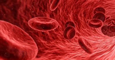 Quali sono i rischi connessi alla biocontaminazione dei tessili? Quali sono i rischi connessi alla biocontaminazione dei tessili?