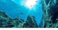 Salviamo i nostri oceani Salviamo i nostri oceani