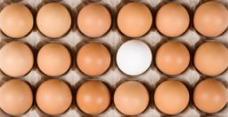 Un rischio spesso sottovalutato: il rischio alimentare Un rischio spesso sottovalutato: il rischio alimentare