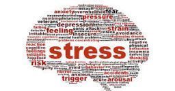 Le differenze nella normativa europea in materia di stress lavorativo Le differenze nella normativa europea in materia di stress lavorativo