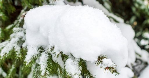 Una lista di controllo per prevenire i pericoli legati alla stagione invernale Una lista di controllo per prevenire i pericoli legati alla stagione invernale